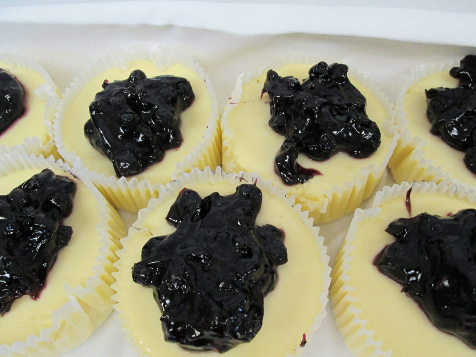 Cheese Cake w/ Blueberries