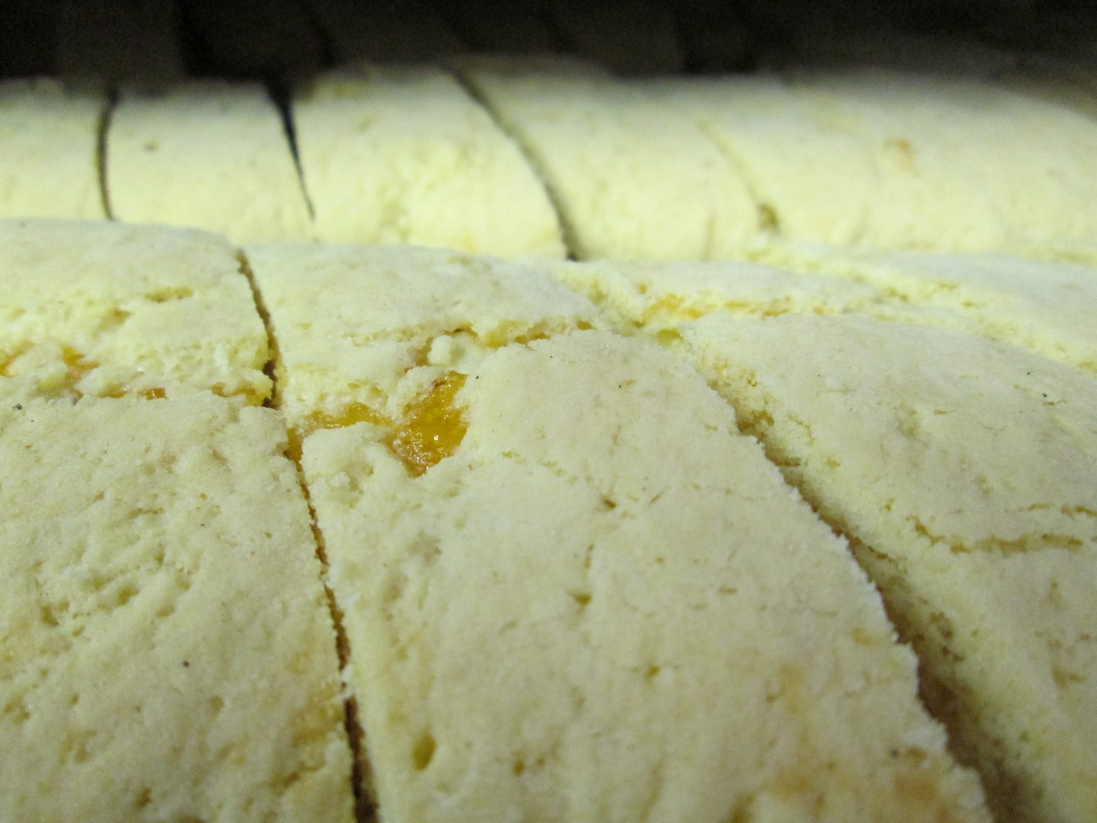 Apricot Mundel Bread