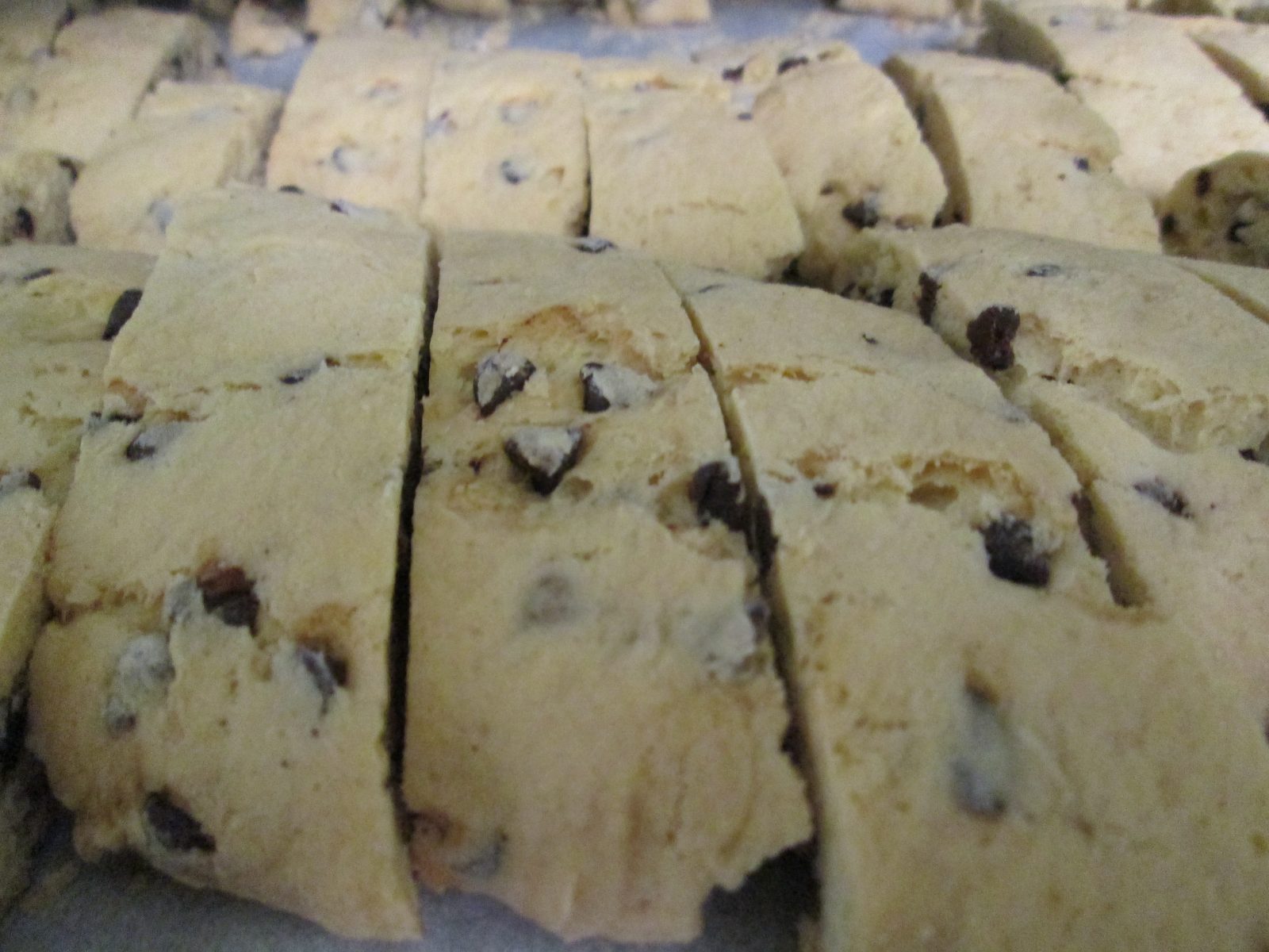 Chocolate Chip Mundel Bread